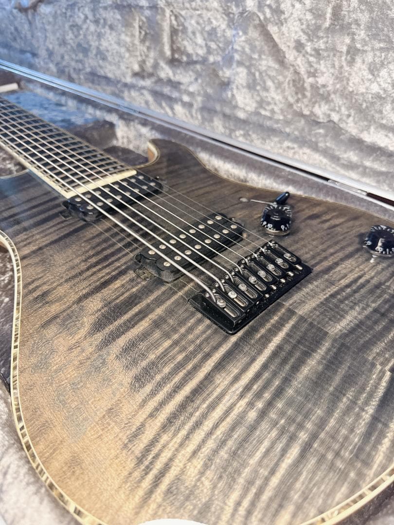 ギター MAYONES Regius8