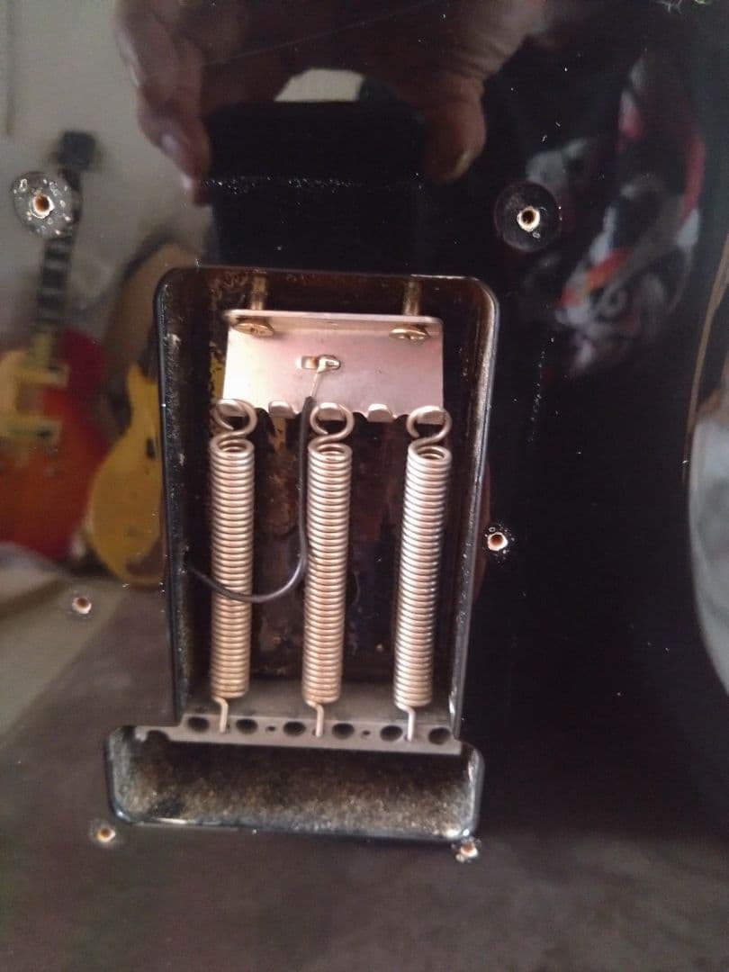 フェルナンデス JG-45　ソフトケースのオマケ付