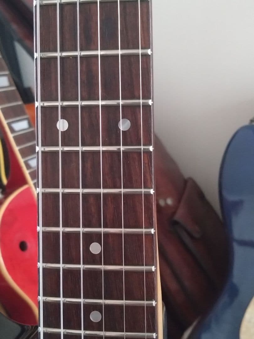 フェルナンデス JG-45　ソフトケースのオマケ付