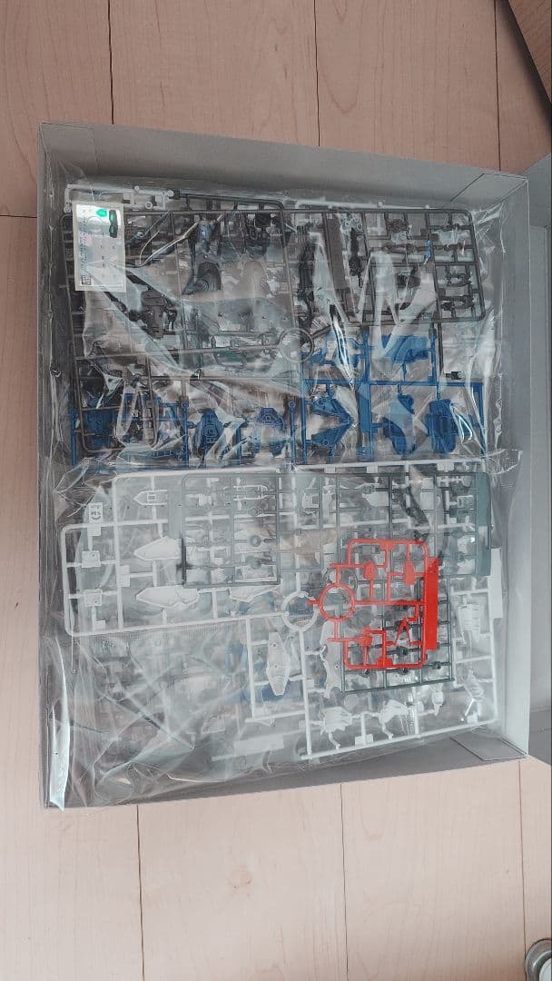 MG 1/100 ガンダムアストレイ アウトフレームD