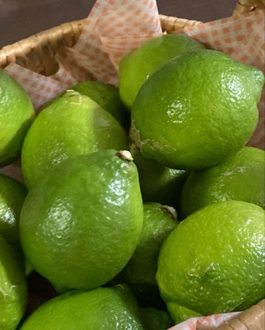 瀬戸内広島レモン♪15kg 農家直送