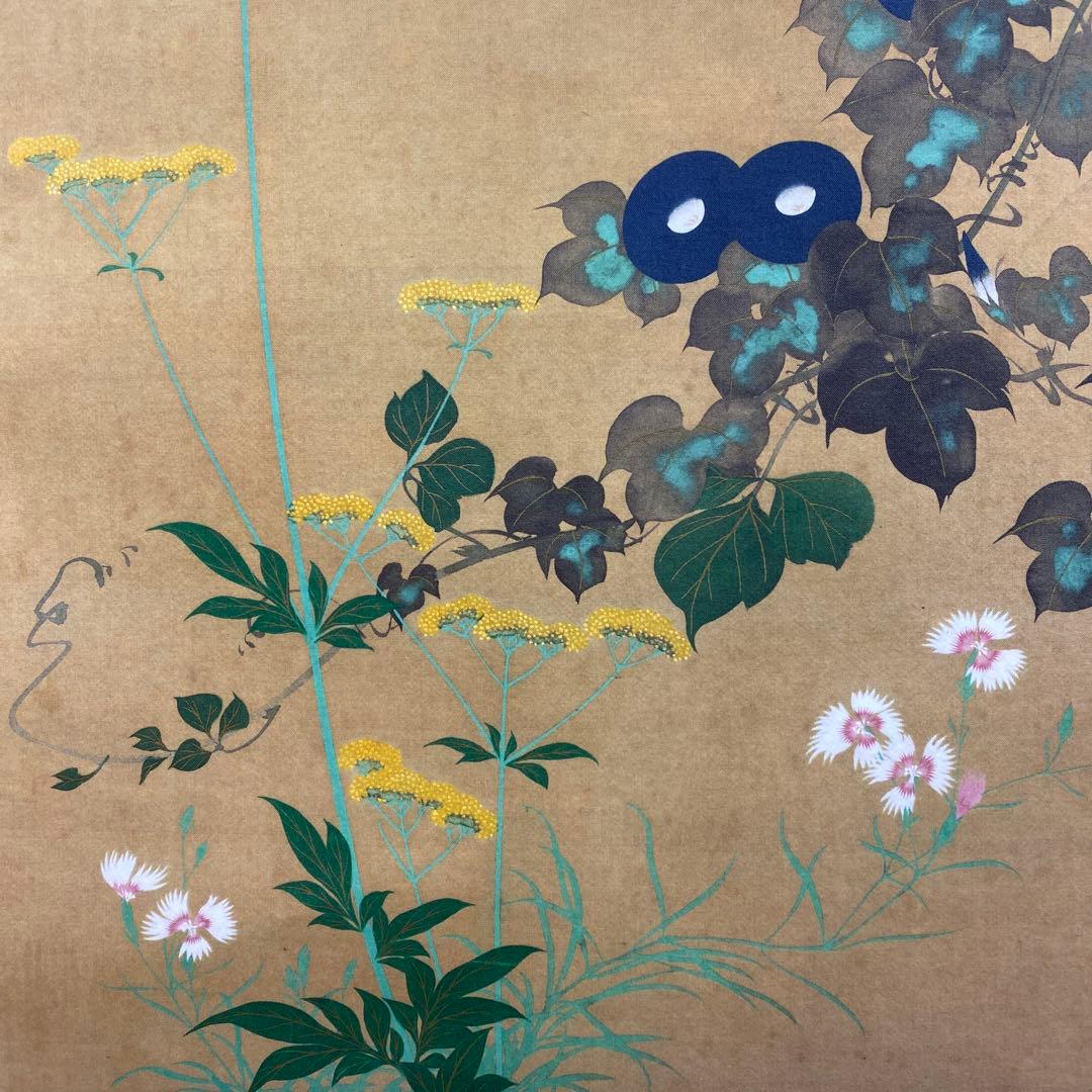 美品 掛け軸 酒井抱一筆「七草図」印刷 解説付き おもてなし