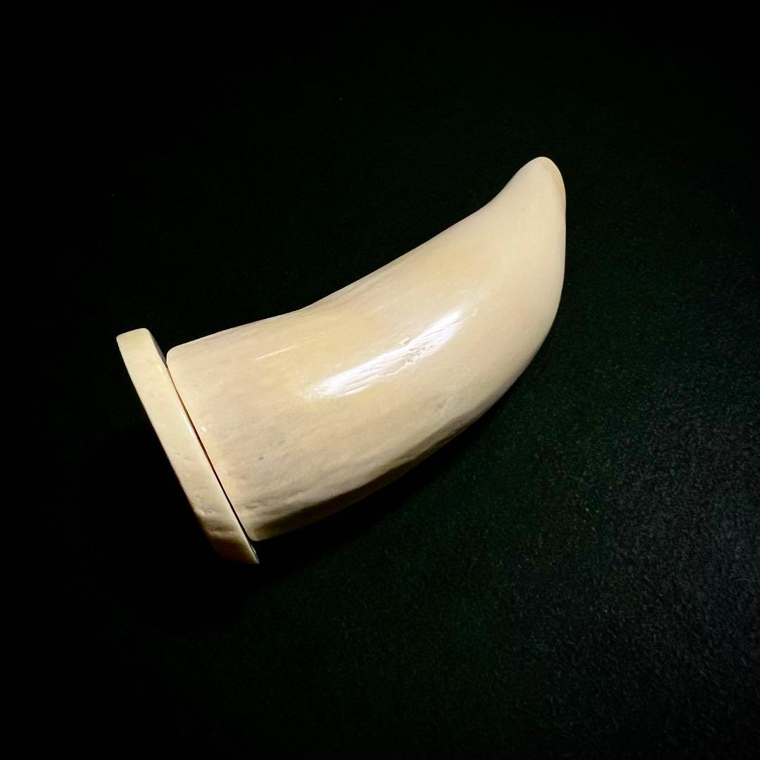 美品 鯨歯の置物【残1】
