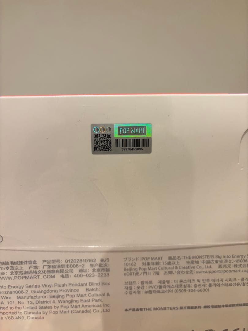 専用　ラブブ Big into Energy アソート10ボックス