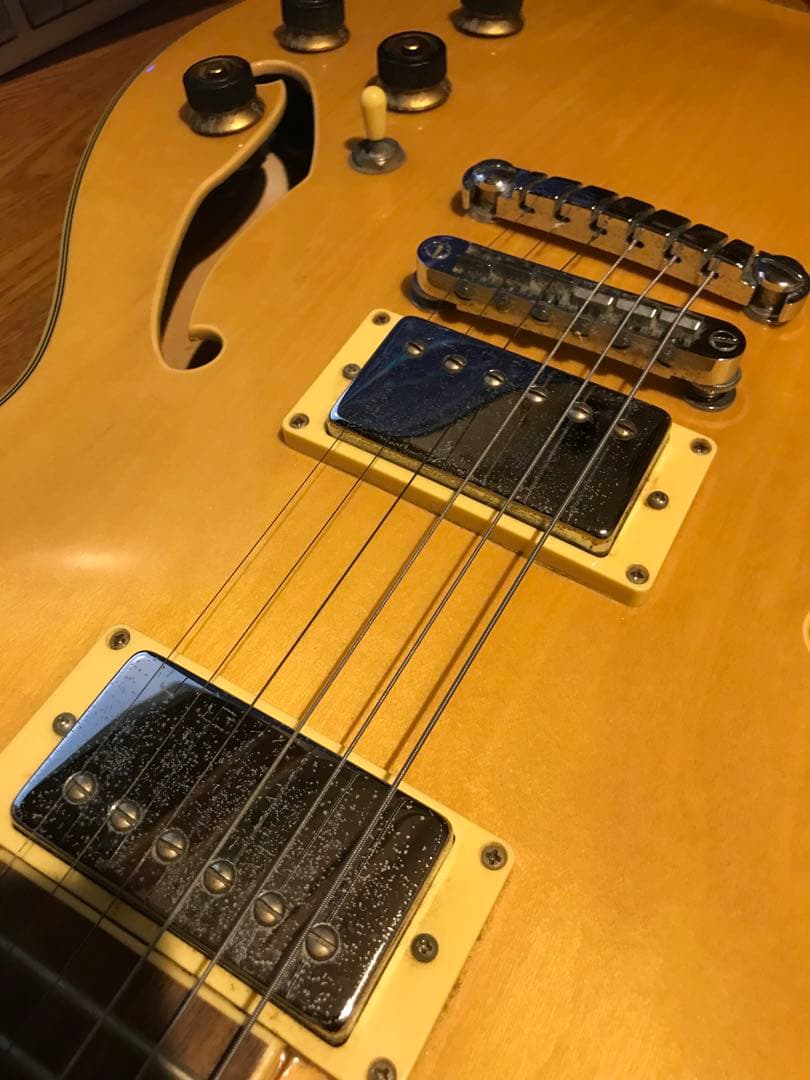 Ibanez セミアコースティックギター AS73D