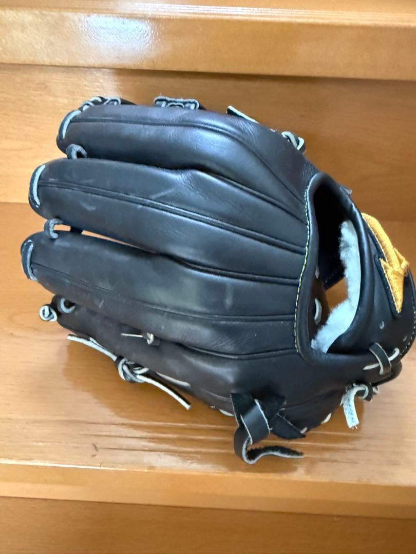 ミズノプロ　フェルナンドタティスjrモデル