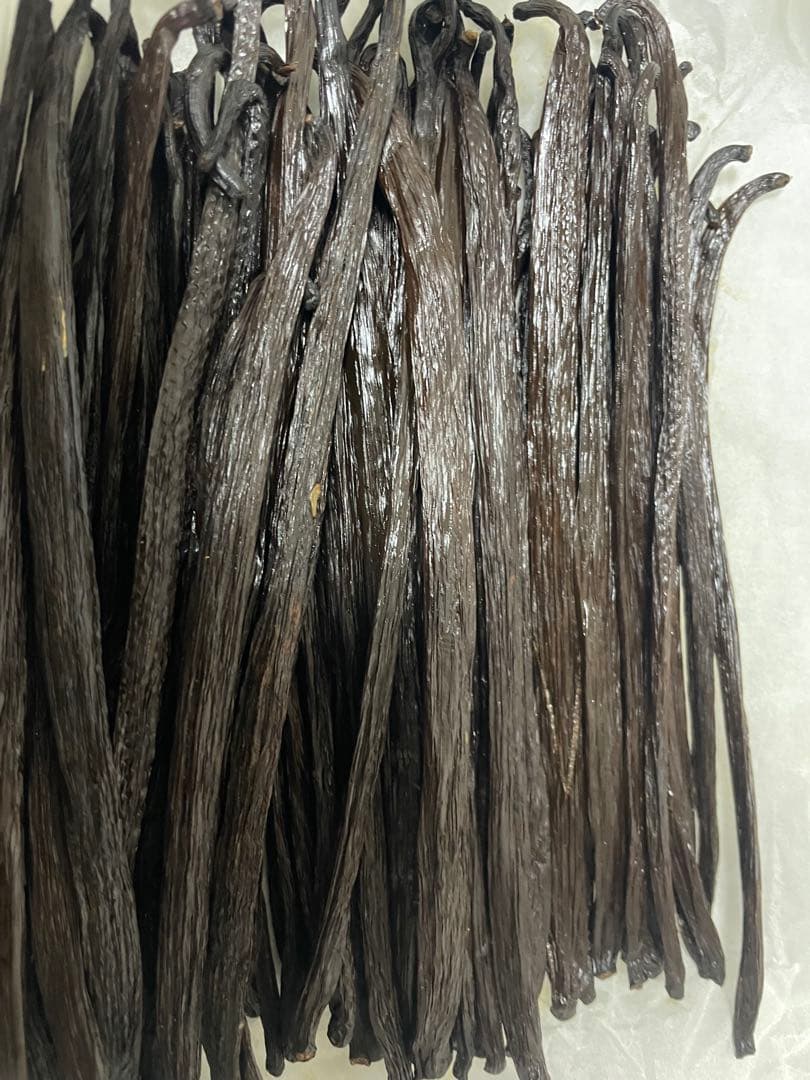 バニラビーンズ250g(グレードA)