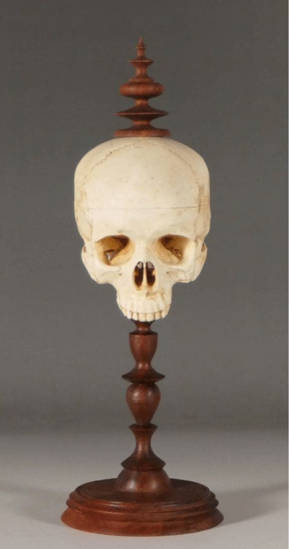 【ガラスドーム入り 頭蓋骨模型 】ゴシック ダークアカデミア ヴンダーカンマー