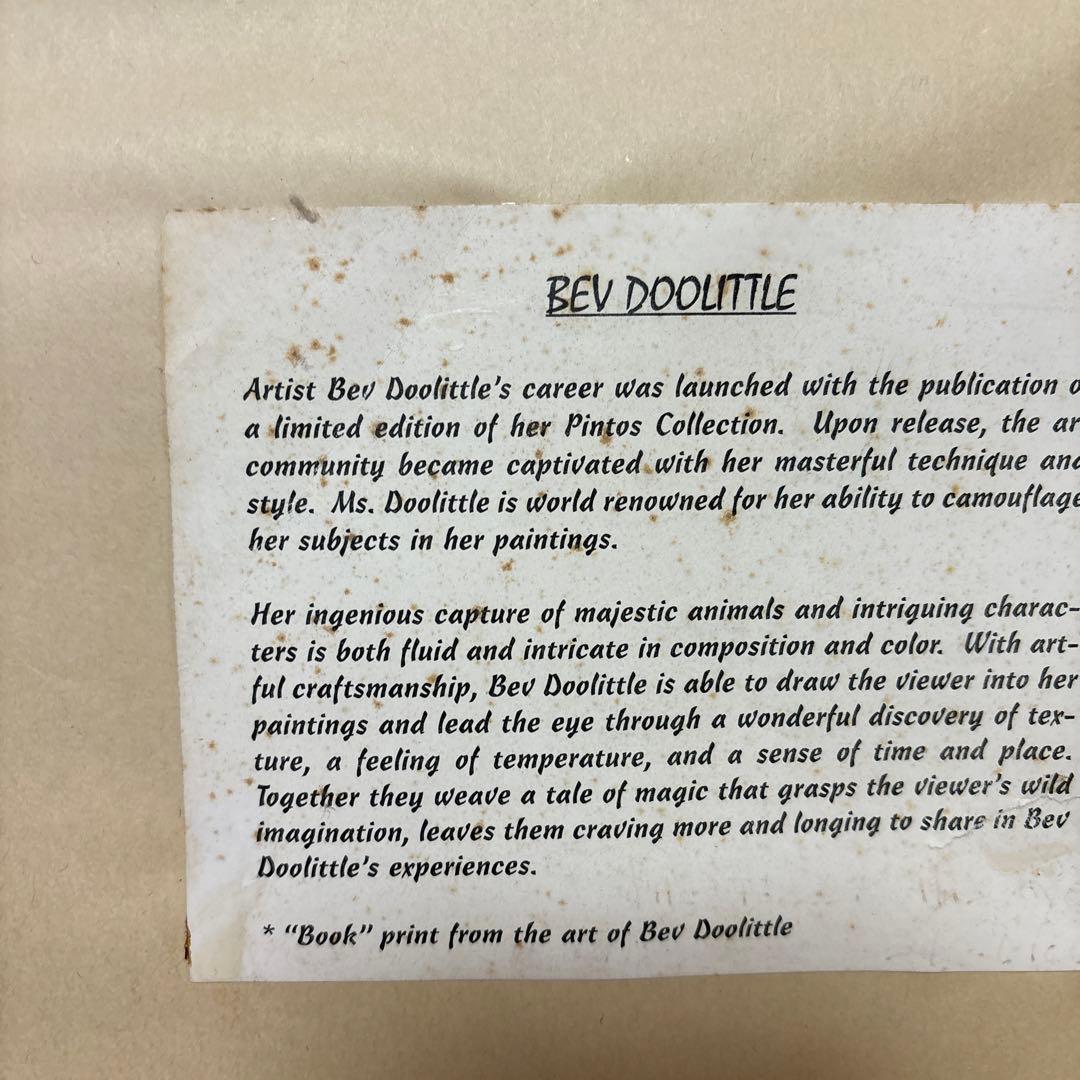 THE ART OF ＢＥＶ　DOOLITTLE