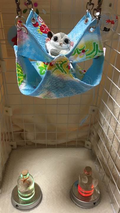 モモンガハウス(夏柄) 夏仕様   涼しい夏生地を使用❗️   1550円