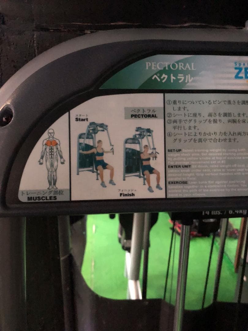 ウエイトトレーニング Pectoral and Rear Delt