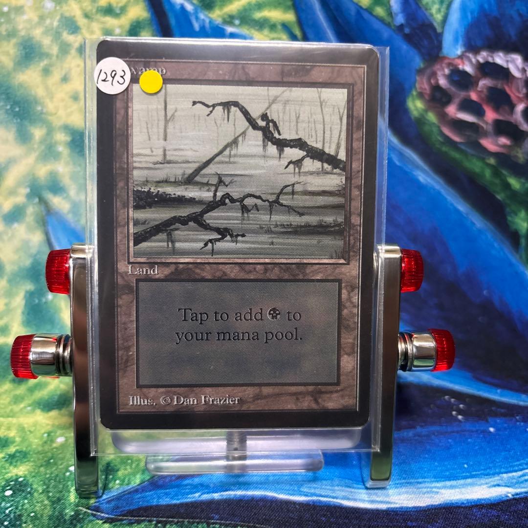 (5枚)沼　C MTG LEB ベータ　β [LEB] 基本土地