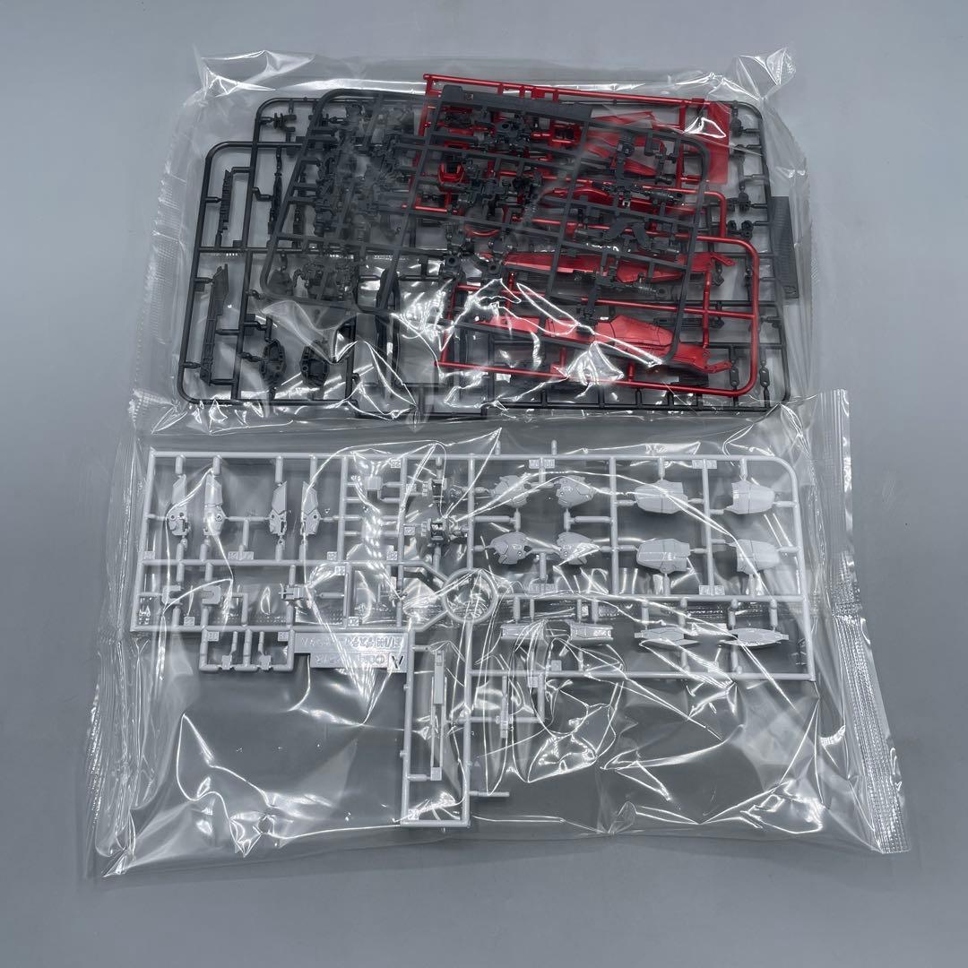 RG デスティニーガンダム チタニウムフィニッシュ & 光の翼