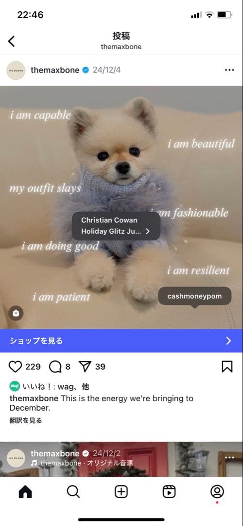 犬服・アクセサリー maxbone Christian Holiday Glitz Jumper