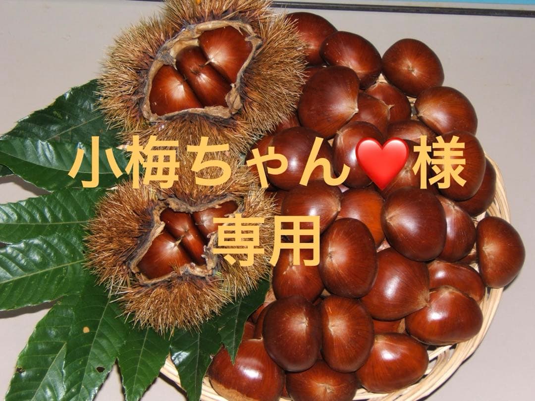 幻の栗⭐︎中山栗2L~4L混合10kgクール便（匿名不可）農家直送2025-014