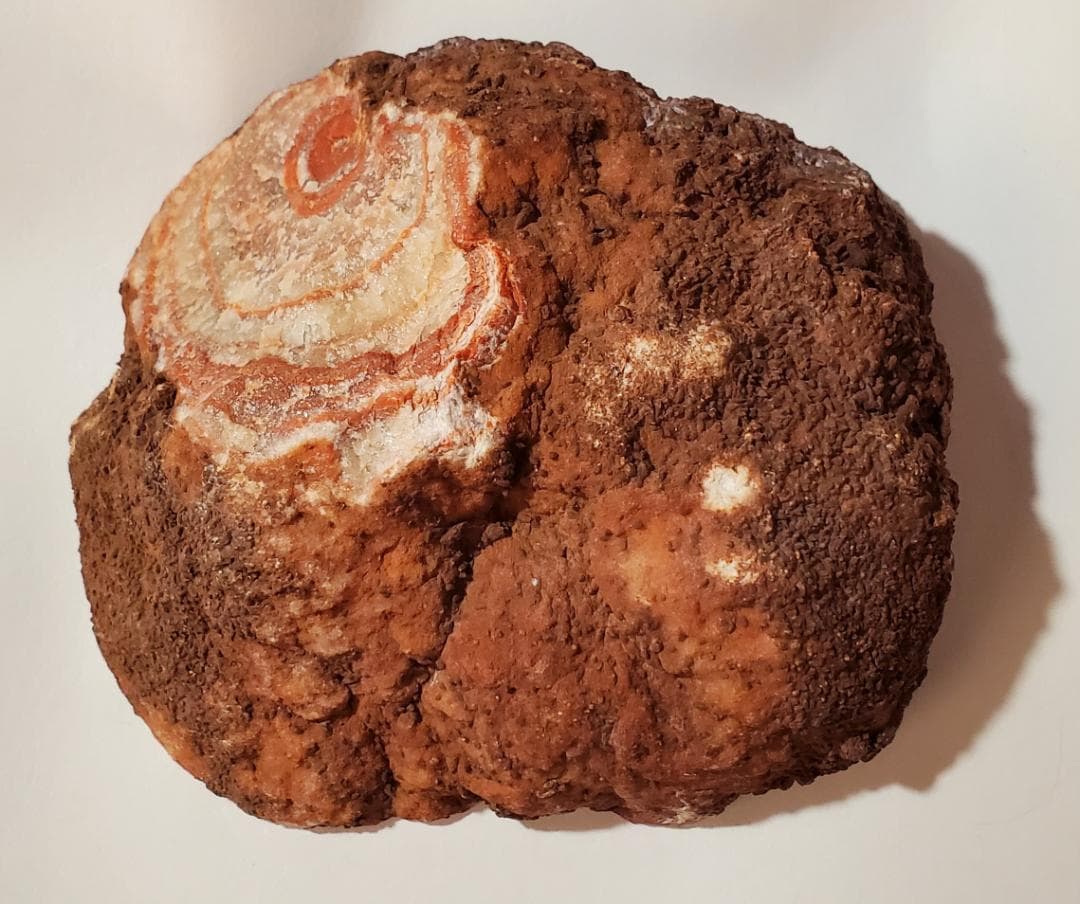 【コレクターズアイテム】ダルコートアゲート