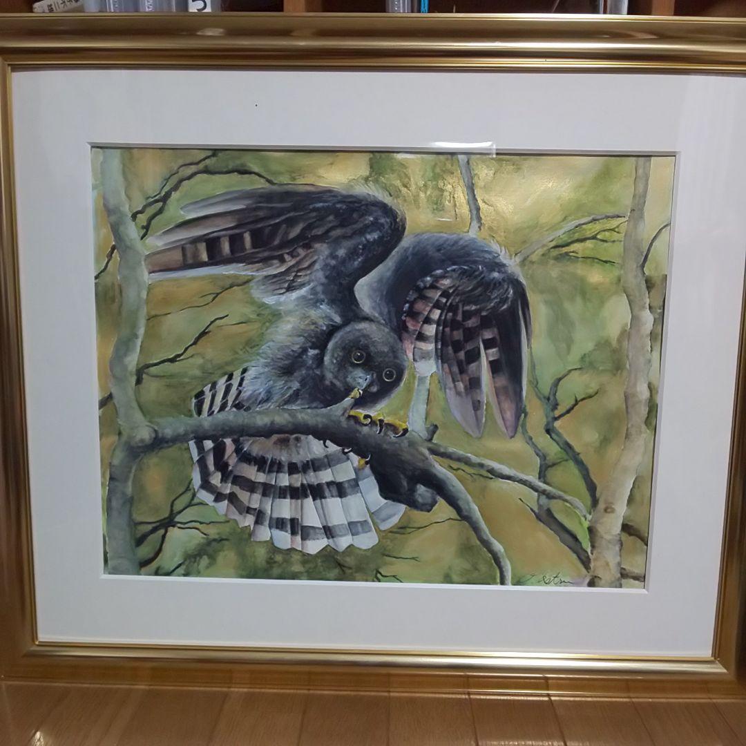 大幅値下げ手書き 水彩画 ハンドメイド 黄金ふくろう 梟