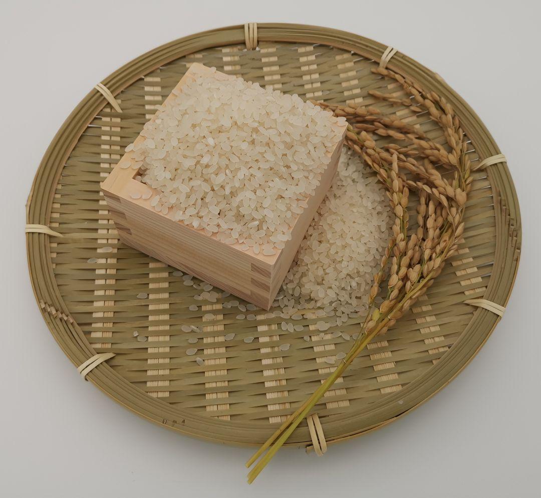 無農薬【令和7年 新米】ひとめぼれ 自然栽培米 宮城県産 9kg 白米 2025