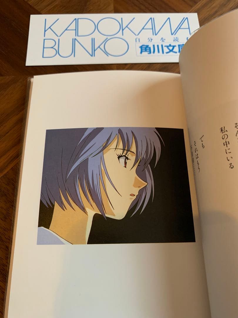 ⭐️エヴァンゲリオン　フォトグラフ　REI