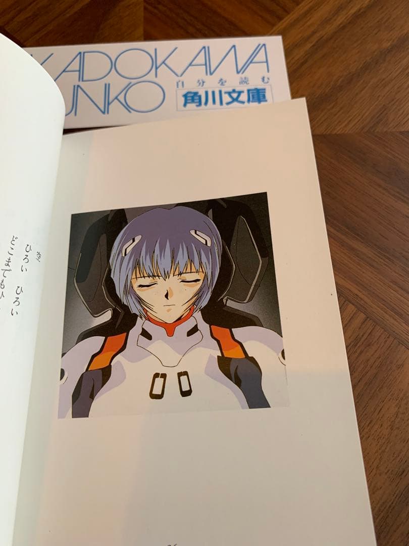 ⭐️エヴァンゲリオン　フォトグラフ　REI