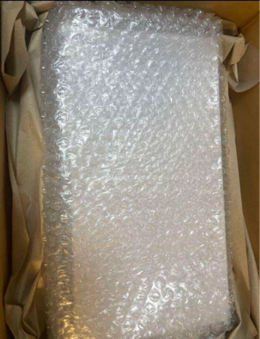 進化のいし　ミニ標本