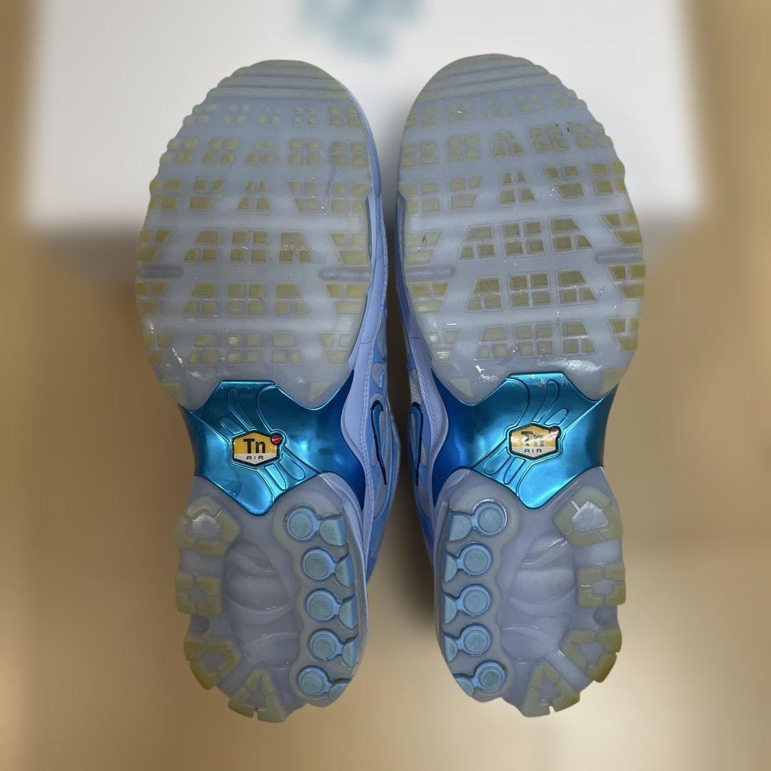 イーストサイドゴルフ　ゴルフシューズ　ナイキ エア マックス プラス G x