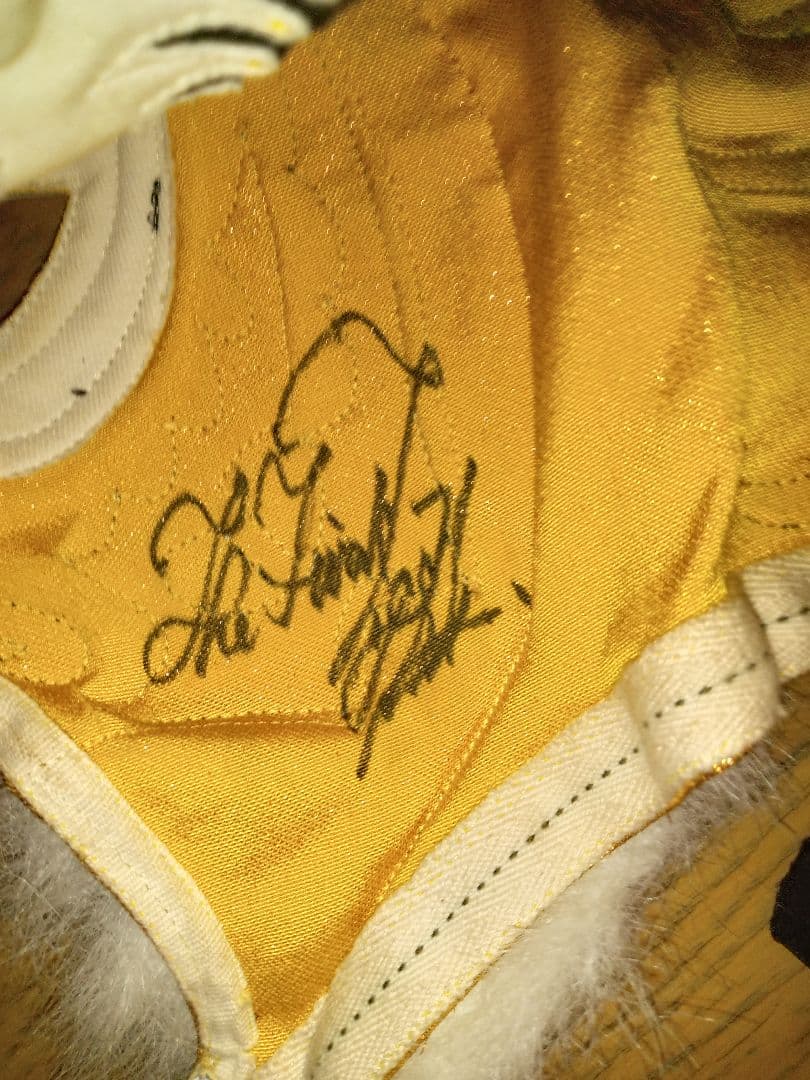 値下げ！ウルティモドラゴン&タイガーマスク ハーフ サイン入りプロレスマスク