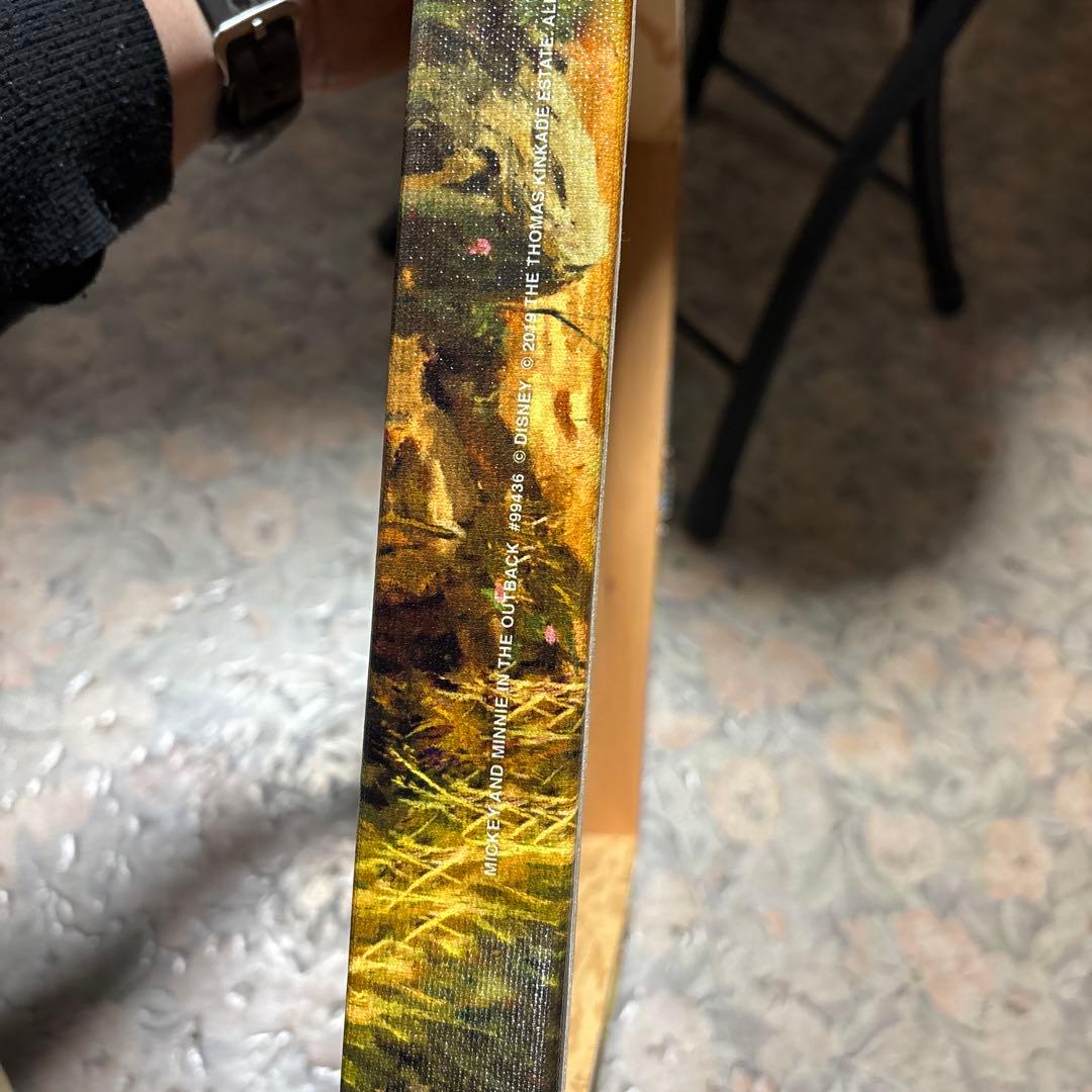 トーマスキンケード　ディズニー　ミッキー&ミニー/イン ザ アウトバック