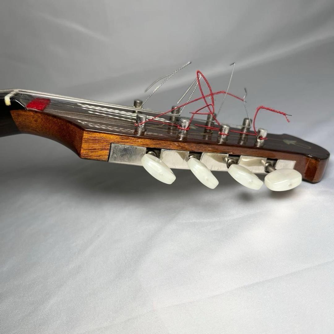 マンドリン　ラファエレ・カラーチェ Type15 raffaele calace