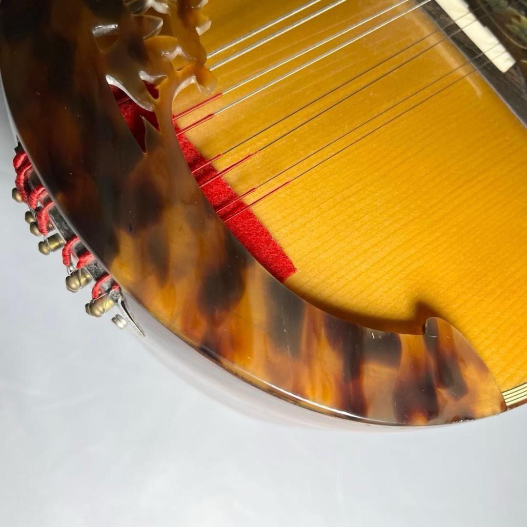 マンドリン　ラファエレ・カラーチェ Type15 raffaele calace