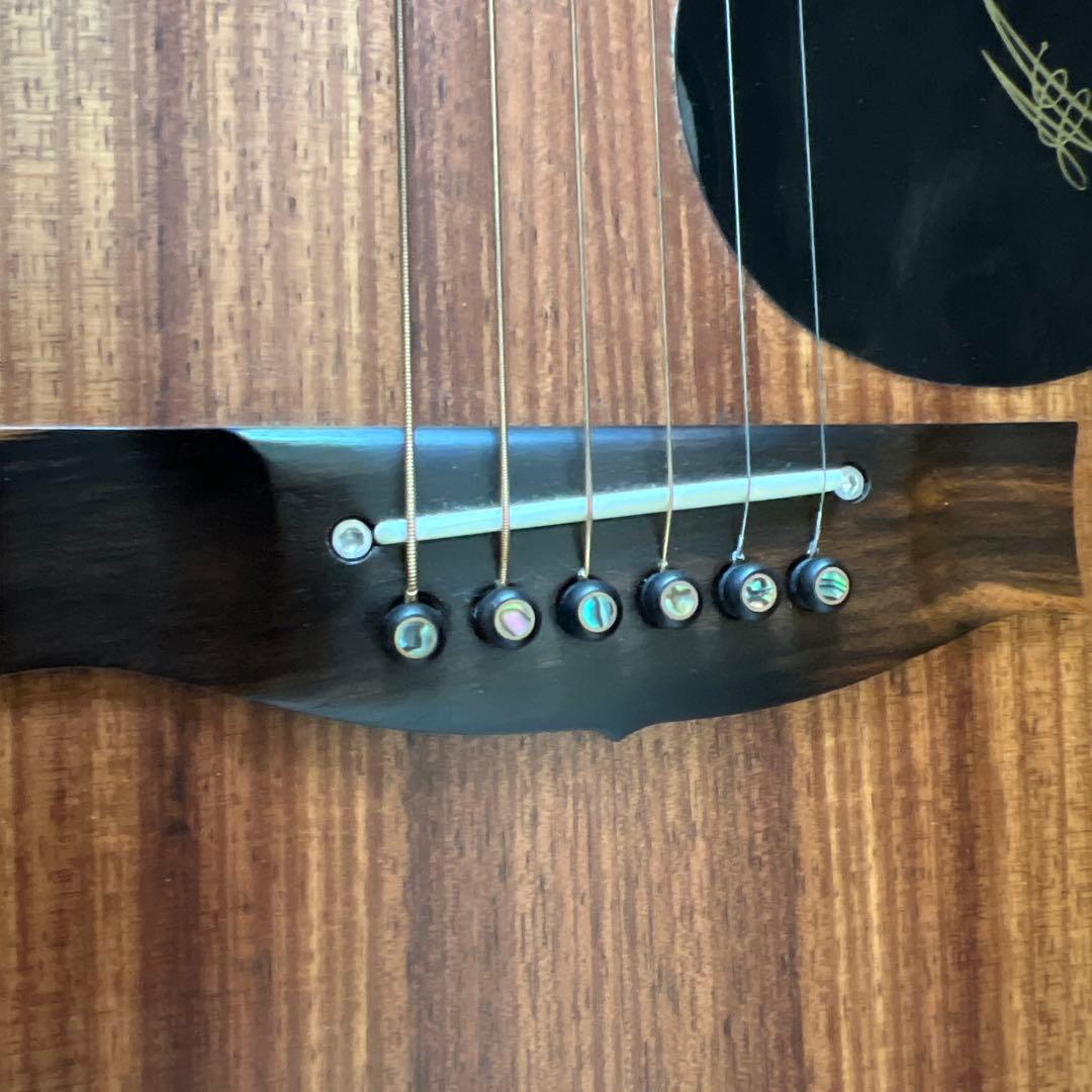 Maton メイトン EBW808C 中古