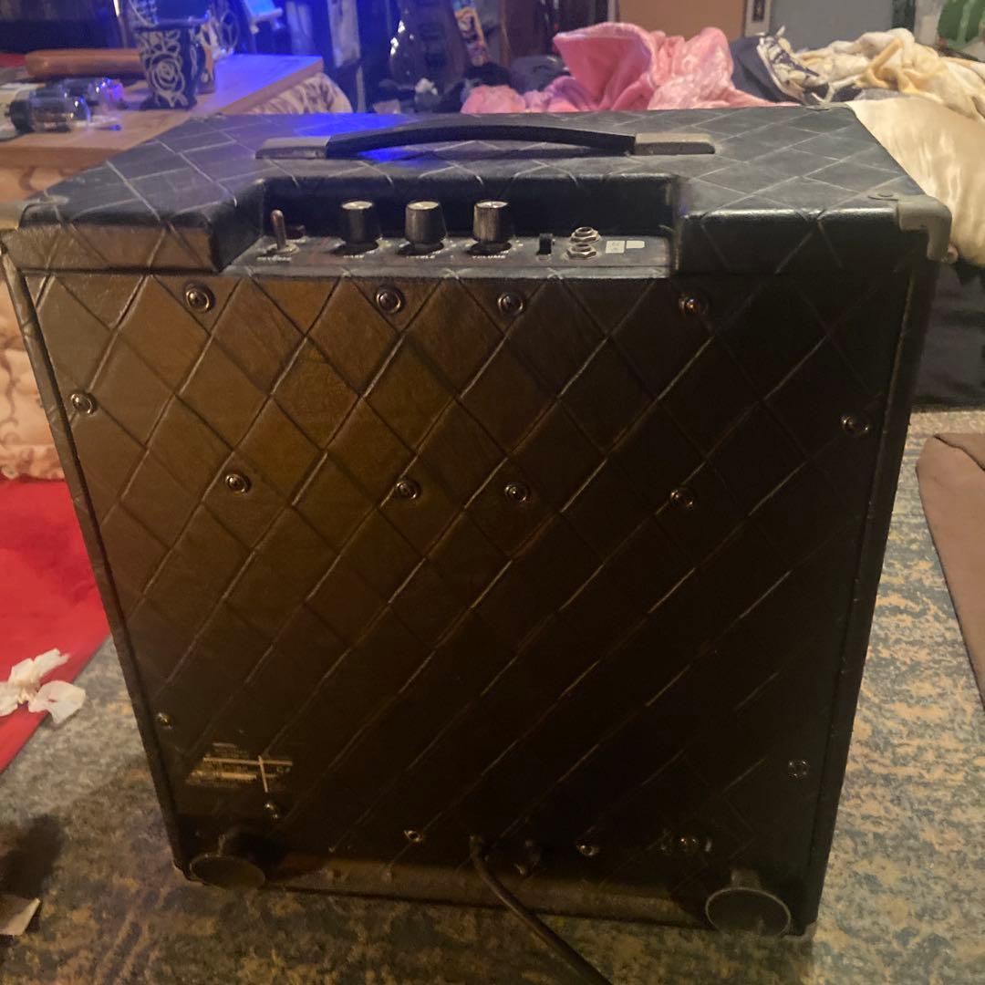 Polytone Mini-BruteⅢ (カバー破れ有り)