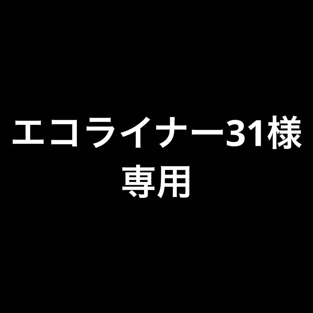 エコライナー31　トレーラーコレクション