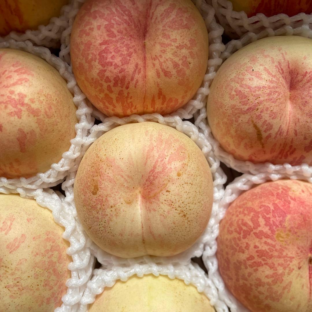 山形県産　桃③訳あり幻の桃シーエックス　箱込み約6.5〜7キロ未満