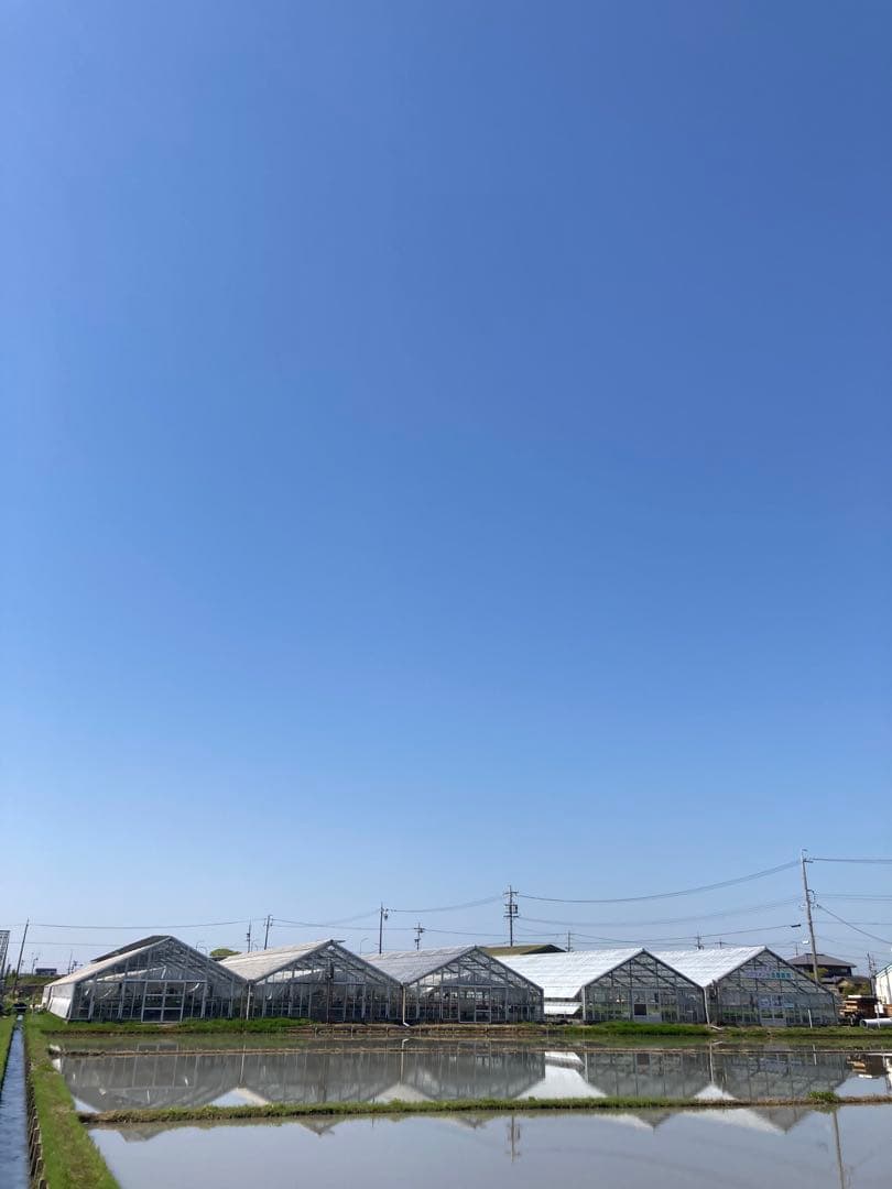 こだわりのお米　つきあかり　生産者直送　令和7年度産　精米10キロ