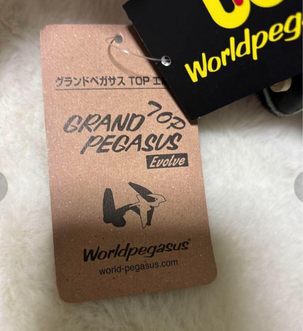 定価43450円！ワールドペガサス硬式用　オールラウンド　左　新品未使用袋付
