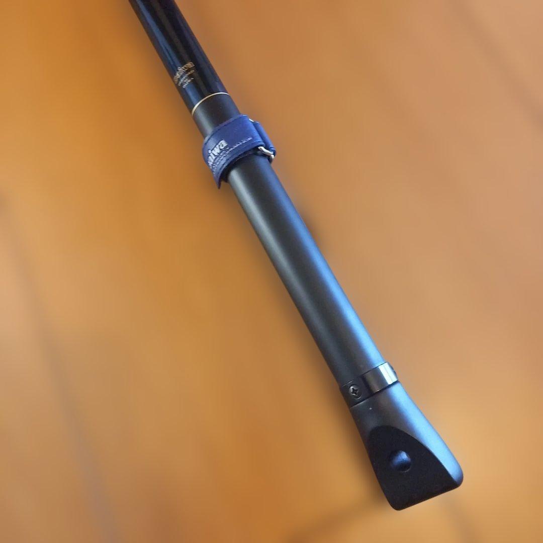 ダイワ 大鯉専科 MH53遠投 スピニングロッド