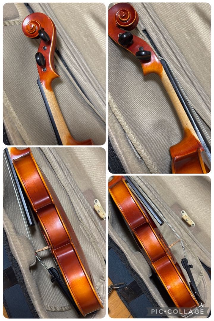 スズキ　バイオリン　No.230 1/2 2013年