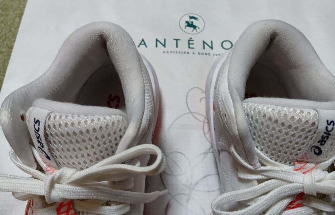 バレーボール　シューズ　24.5　アシックス