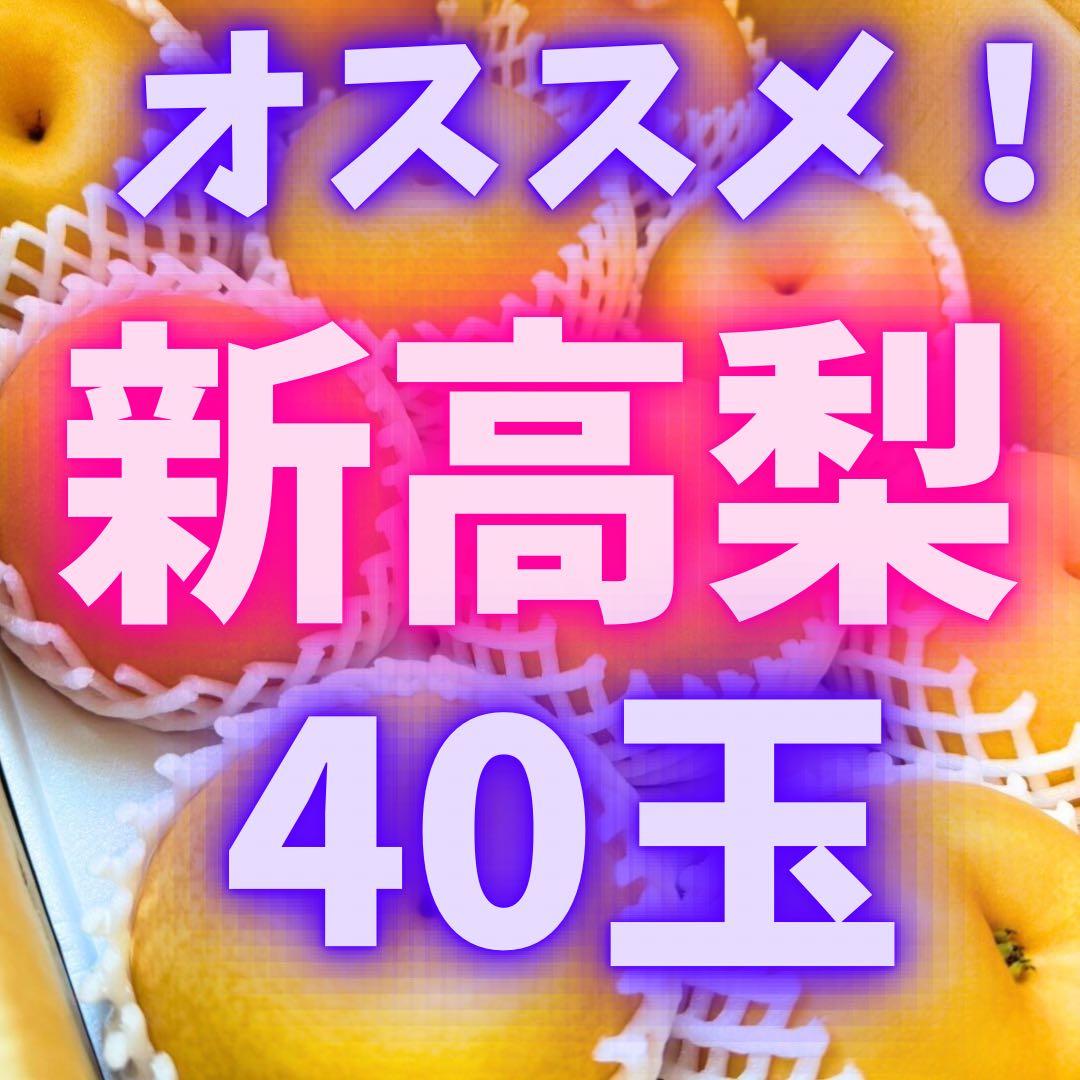 梨　新高梨　40玉　　03