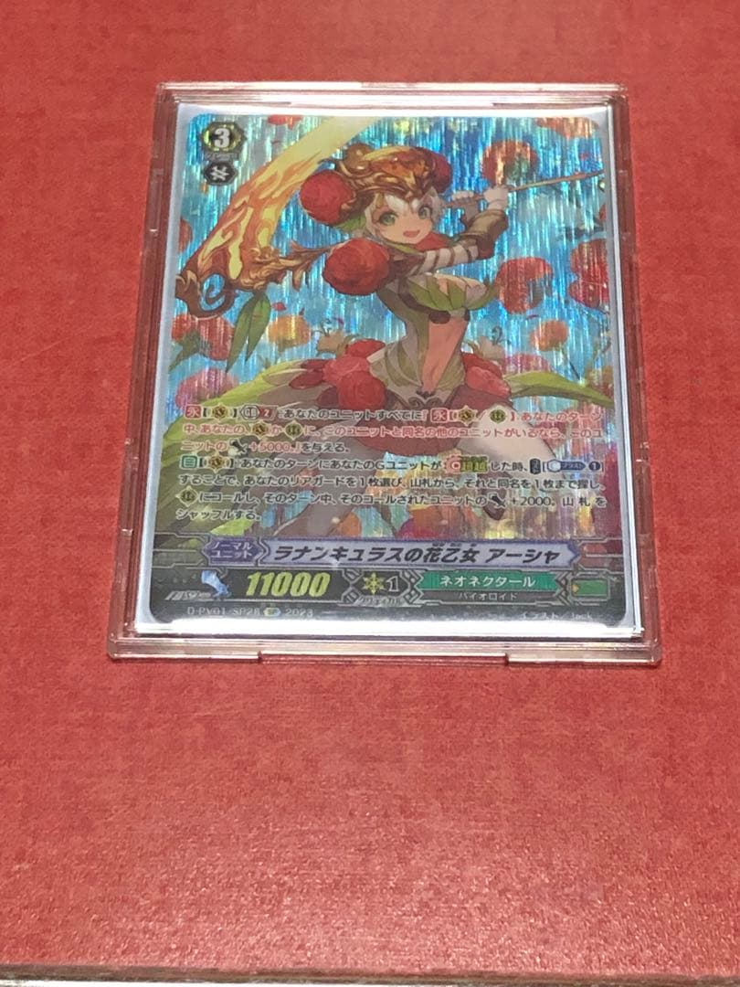 ラナンキュラスの花乙女アーシャ　SP