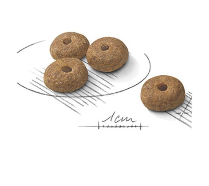  CANIN ミニステア ライズド 避妊去勢犬用 8kg