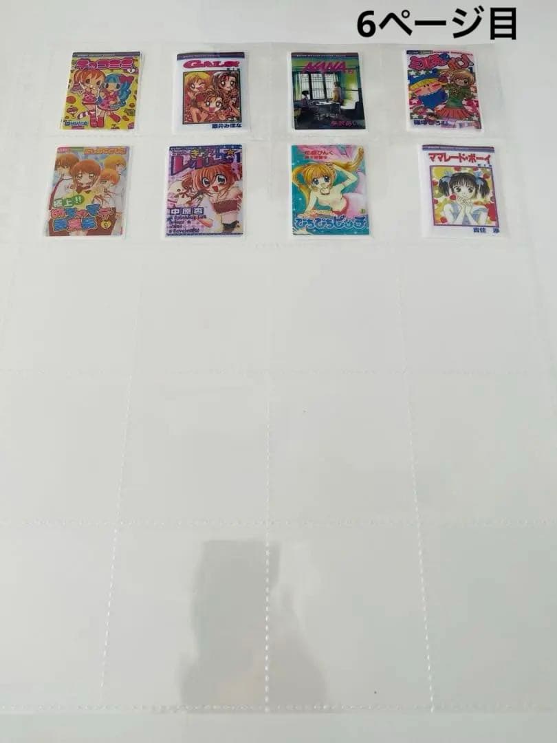 アメステバラ ⑧