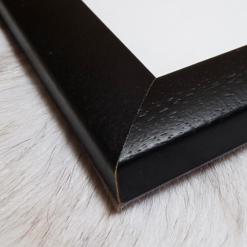 額装品/Ten Marilyns 1967（アンディ ウォーホル）