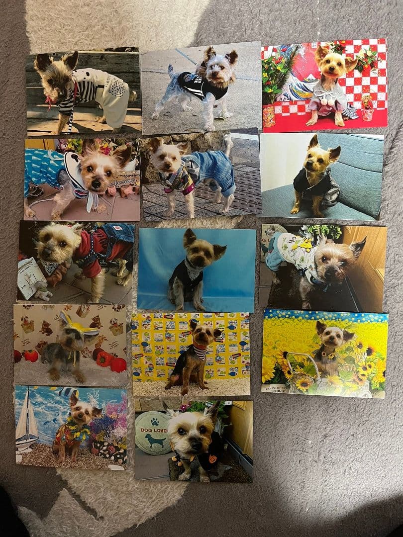 りえ様確認用です