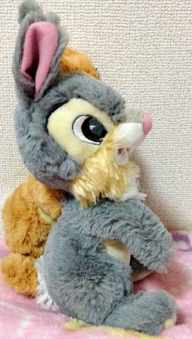 とんすけ・ミスバニーのぬいぐるみ（抱きしめられるタイプ）ディズニーランドinパリ