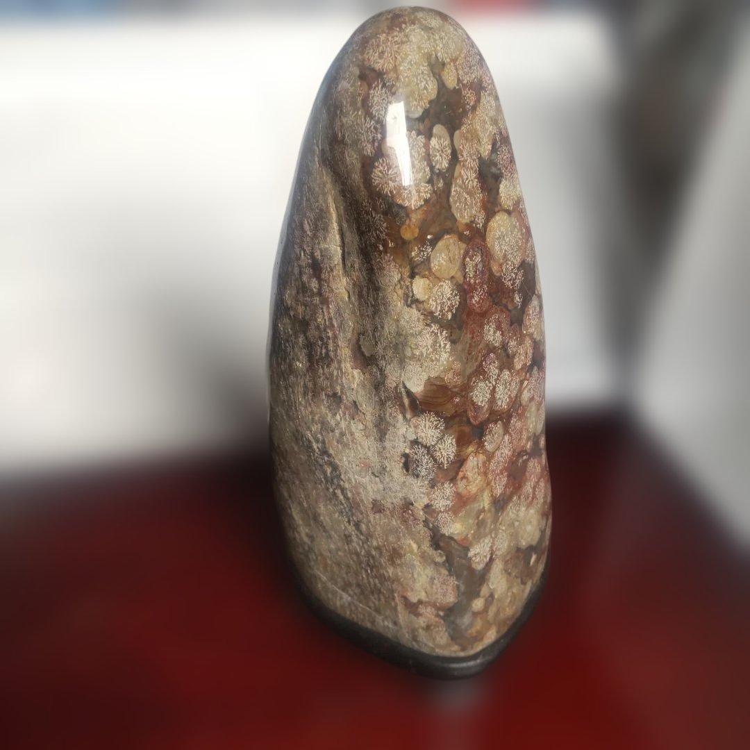 花紋石　青森県深浦町産　４０６０g　管理No.71105