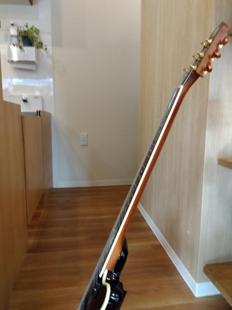 FUJIGEN フジゲン F&C Anboy AF-55C Ashfield