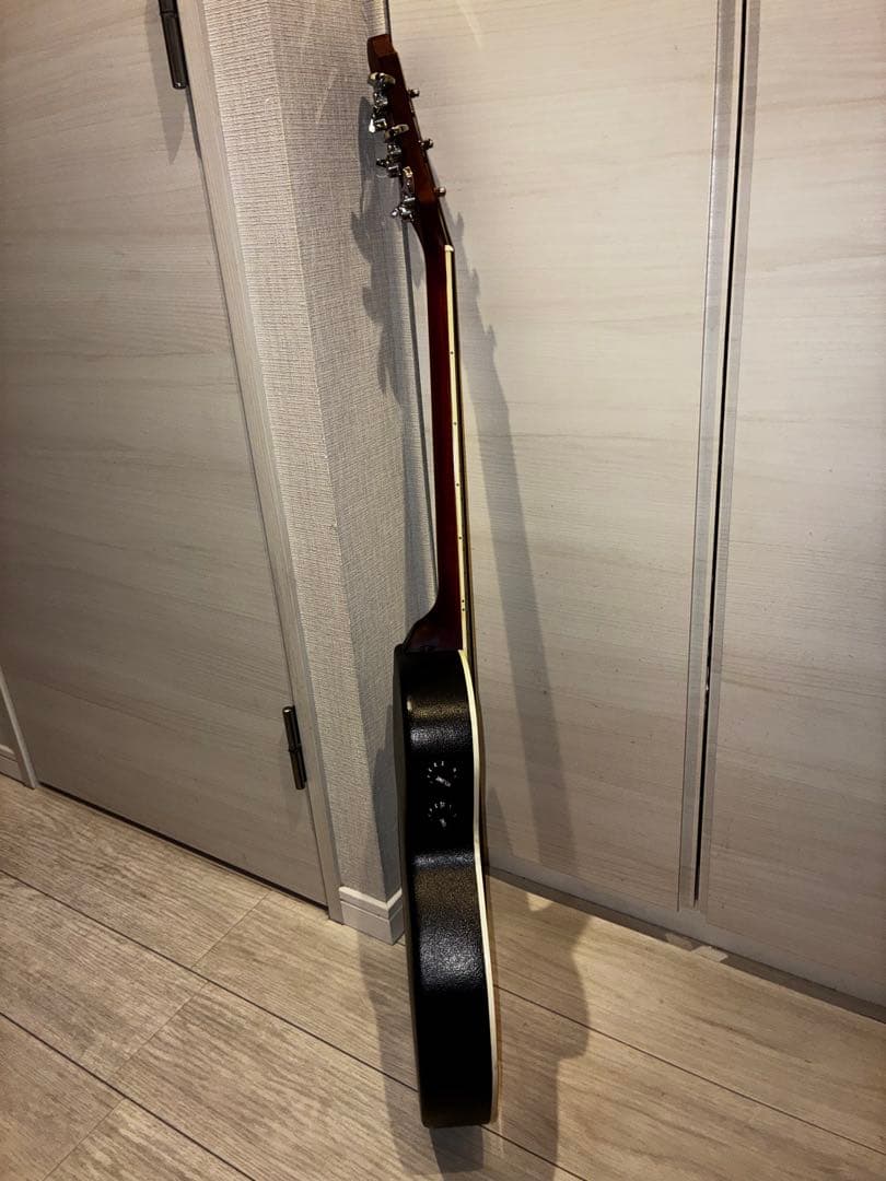 Legend by Aria エレアコ カッタウェイ ソフトケース付き