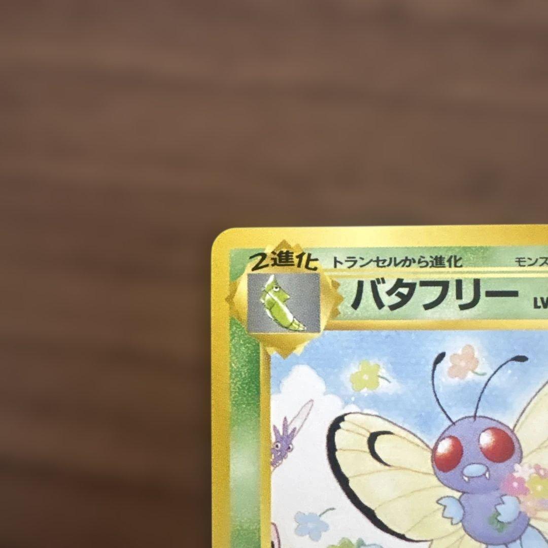 サザンアイランド　お花畑　旧裏ポケモンカード　ポストカードなし